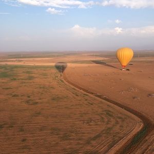 Meet your Posher, Diana